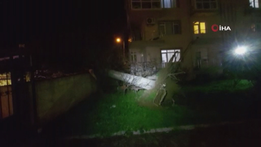 Silivri’de fırtına ağacı kökünden söktü