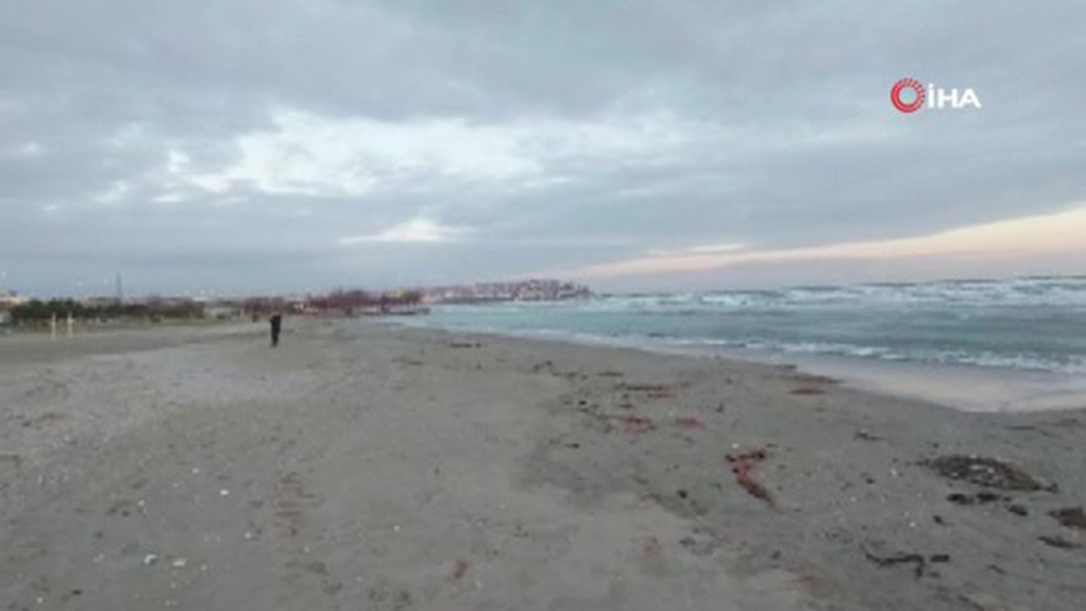 Silivri’de römorkörden kopan duba karaya oturdu