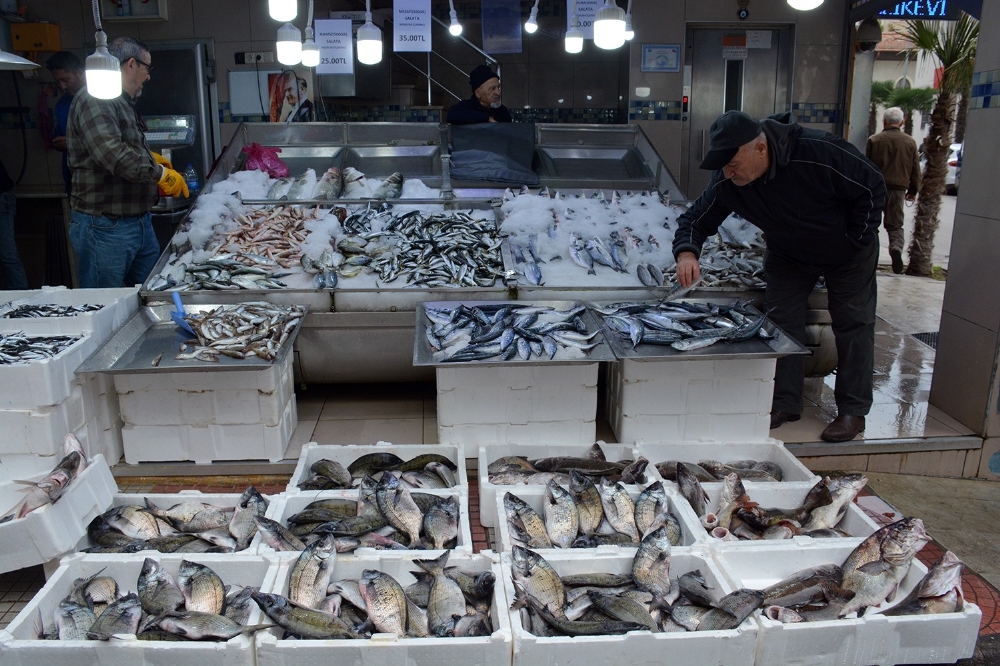 Sinopta Balık Tezgahları Şenlendi