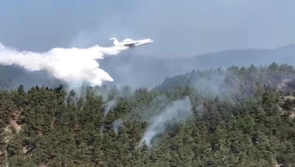 Sinop’taki orman yangınına havadan müdahale ediliyor