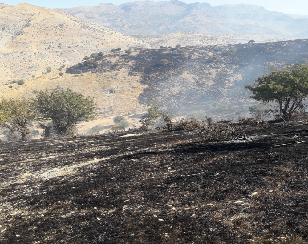 Şırnak’ta ağaçlık alanda yangın: Yüzlerce dönüm alan kül oldu
