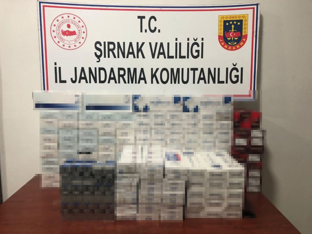 Şırnak’ta kaçakçılık ve terörle mücadele operasyonu: 33 gözaltı