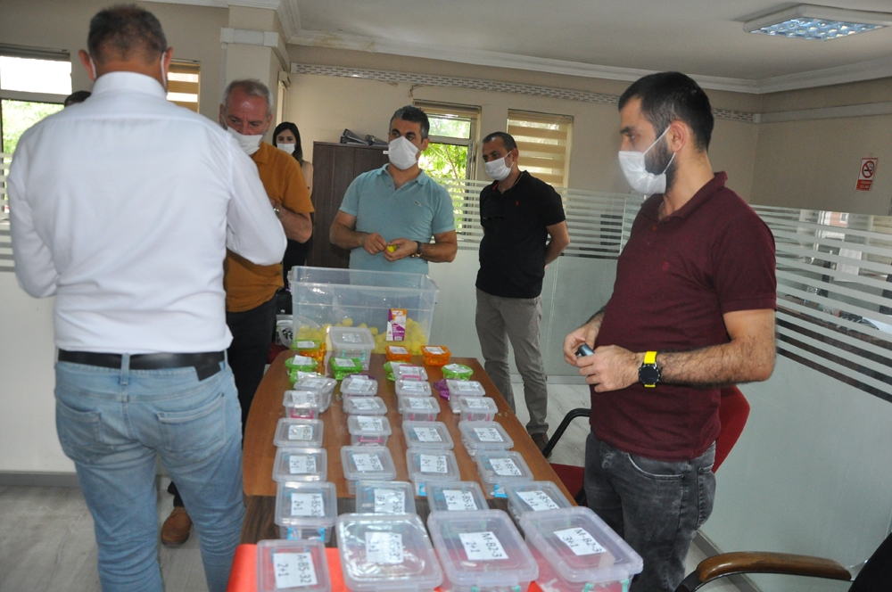 Şırnak’ta terör mağdurlarının evleri teslim ediliyor
