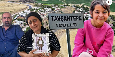 Şok iddia: Anne Yüksel Güran, 'Salim yaptı' dedi