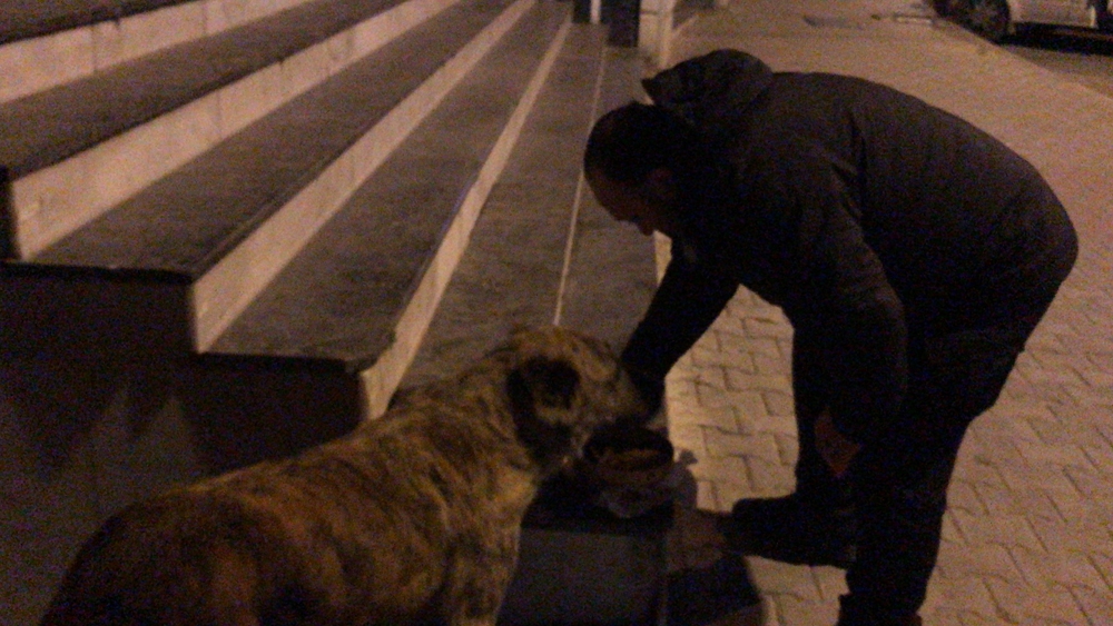 Sokağa çıkma yasağında polis hayvanları unutmadı