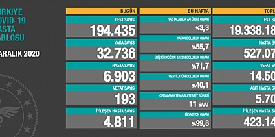 Son 24 saatte korona virüsten 193 kişi hayatını kaybetti