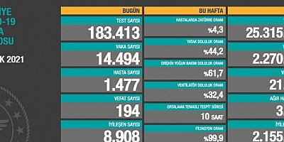 Son 24 saatte korona virüsten 194 kişi hayatını kaybetti