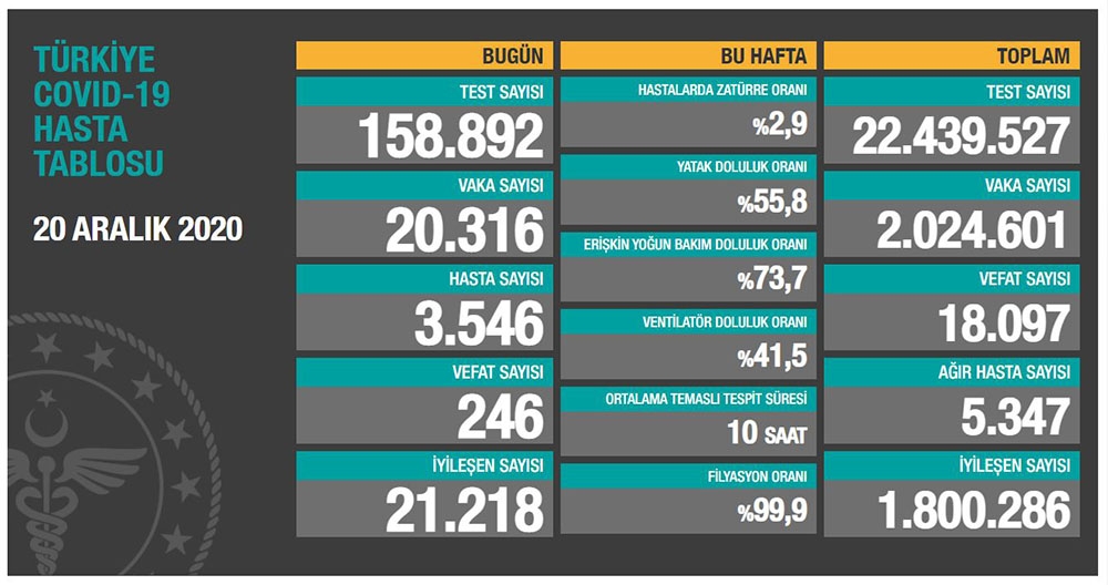 Son 24 saatte korona virüsten 246 kişi hayatını kaybetti