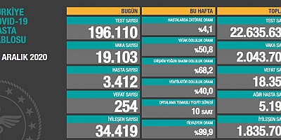 Son 24 saatte korona virüsten 254 kişi hayatını kaybetti