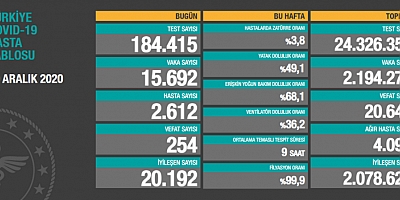 Son 24 saatte korona virüsten 254 kişi hayatını kaybetti