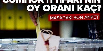 Son anket açıklandı! İşte Cumhur İttifakı'nın oy oranı