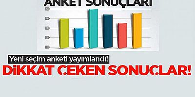 Son ankete kararsızların tercihi damga vurdu! Dikkat çeken sonuçlar