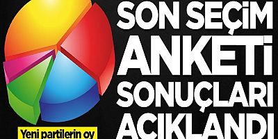 Son seçim anketi sonuçlarını açıkladı! Yeni partilerin oy oranı dikkat çekti