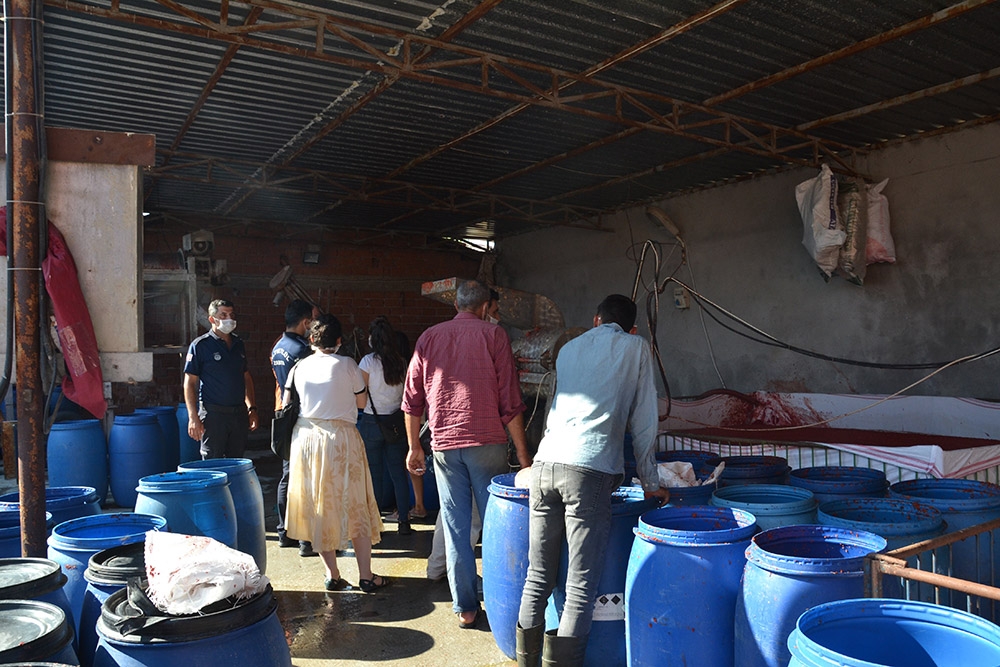 Sosyal medyada dans ederek salça yapılan işyerine baskın
