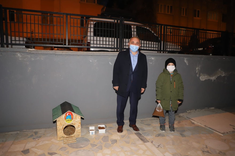 Sosyal medyadan paylaştı, Başkan’a kedi evi yaptırdı
