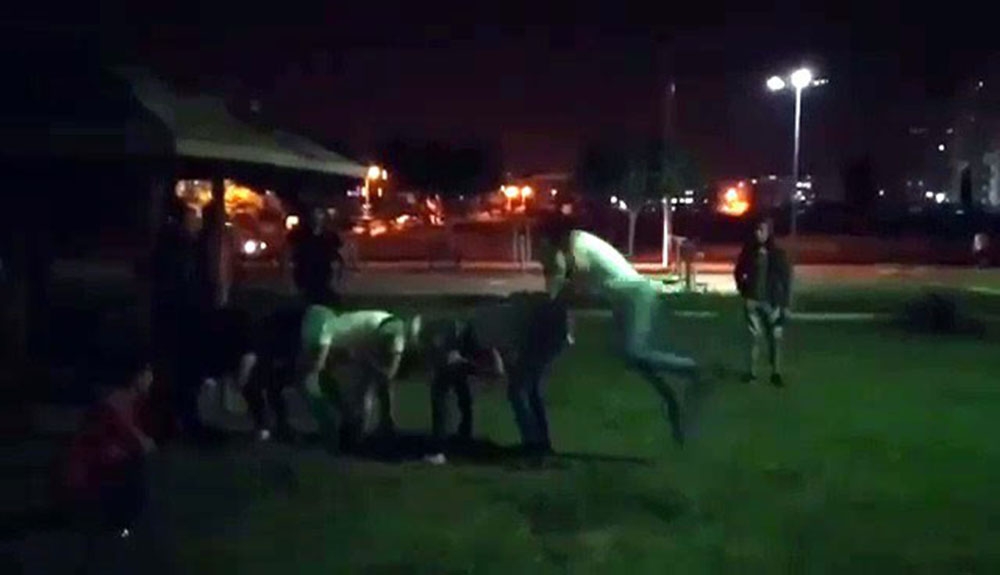 Sosyal mesafeyi ‘uzun eşekle’ hiçe saydılar