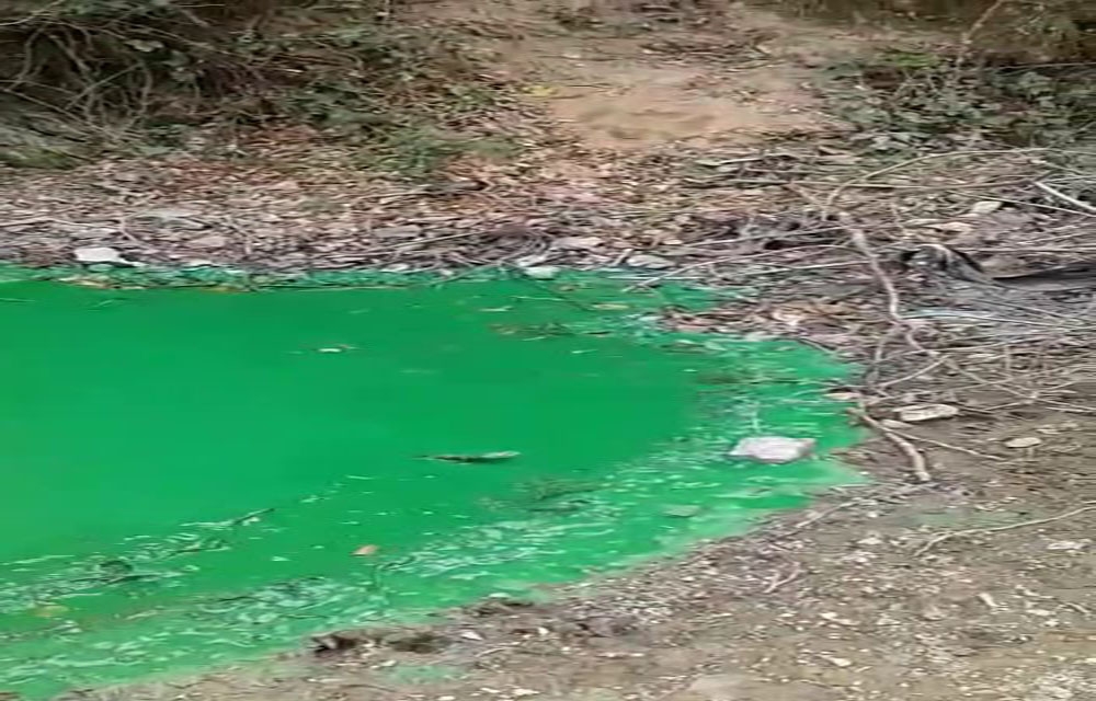 Sultangazi’de baraj suyu yeşile döndü