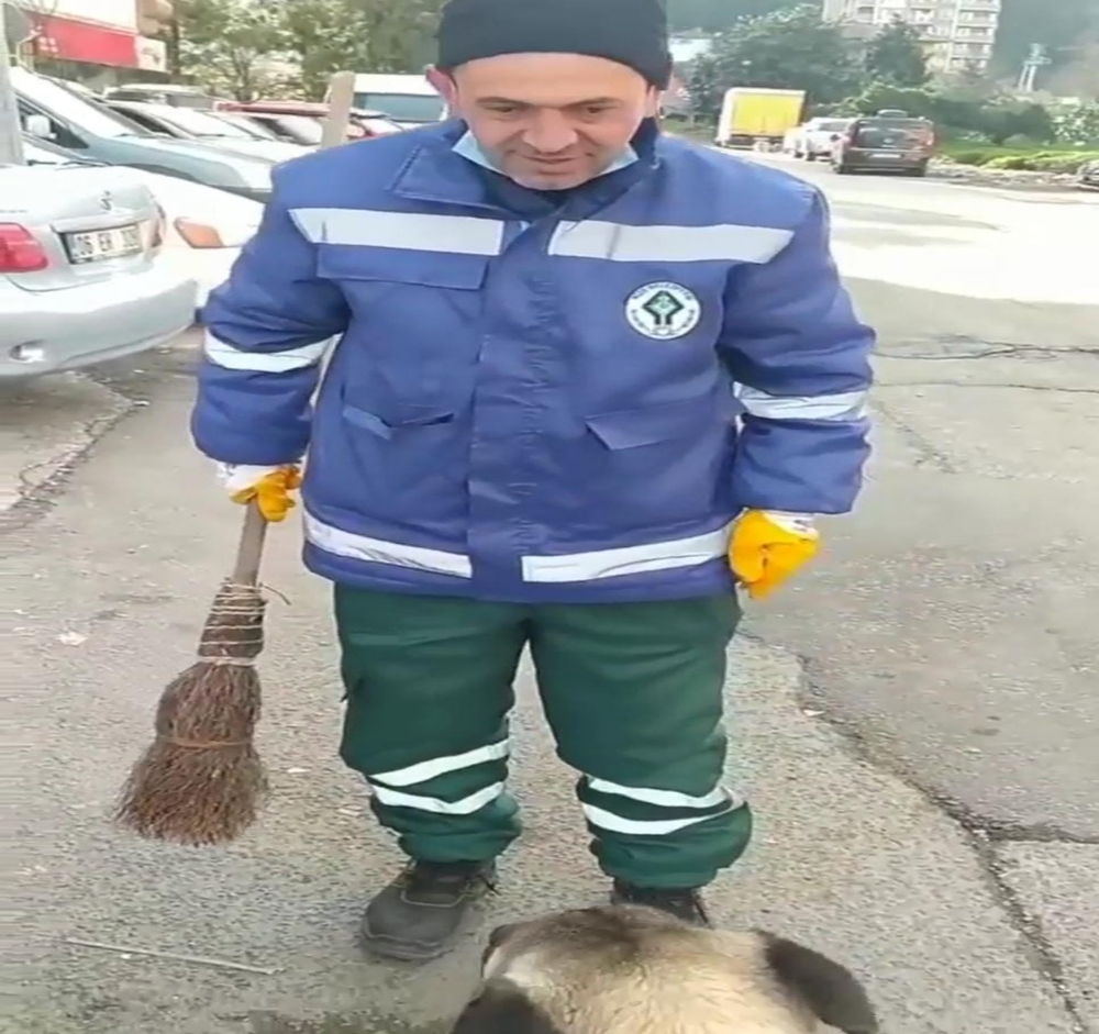 Süpürgesini çalan köpeğe 