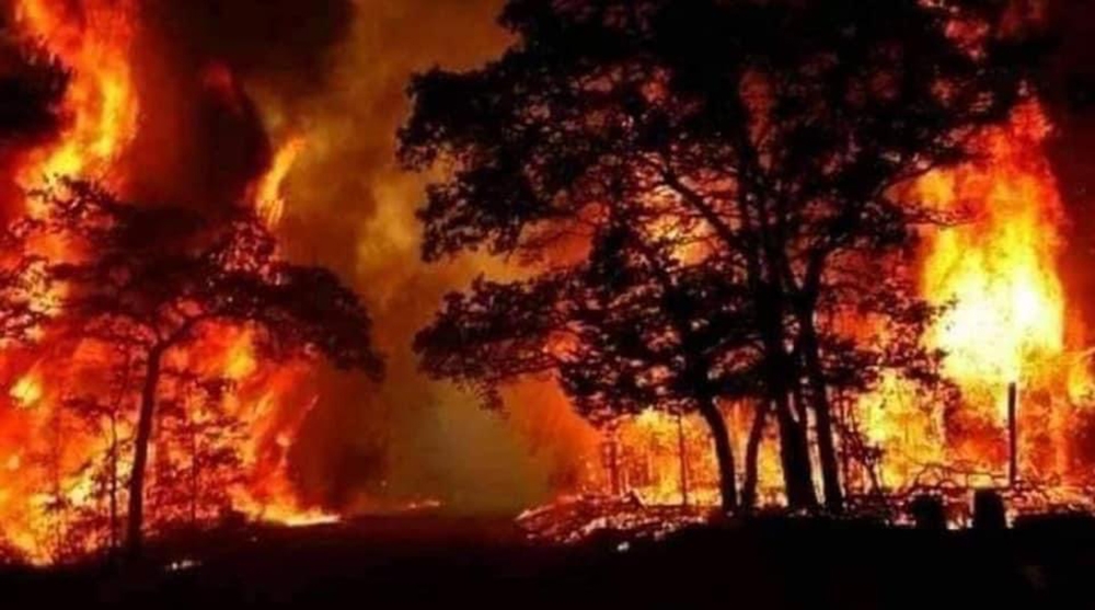 Suriye’deki orman yangınında ölü sayısı 3’e yükseldi