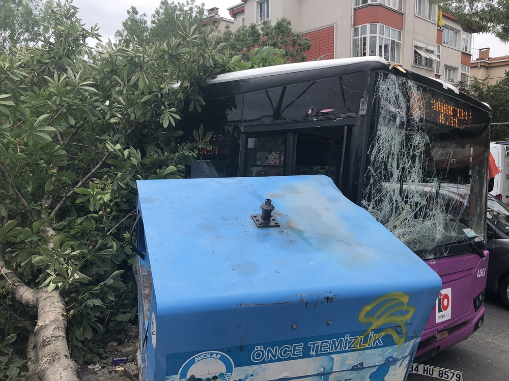 Sürücüsünün fenalaştığı yolcu otobüsü önce konteynıra ardından ağaca çarptı