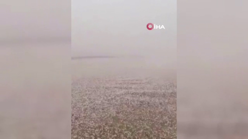 Suudi Arabistan’da dolu yağdı, çöl beyaza büründü