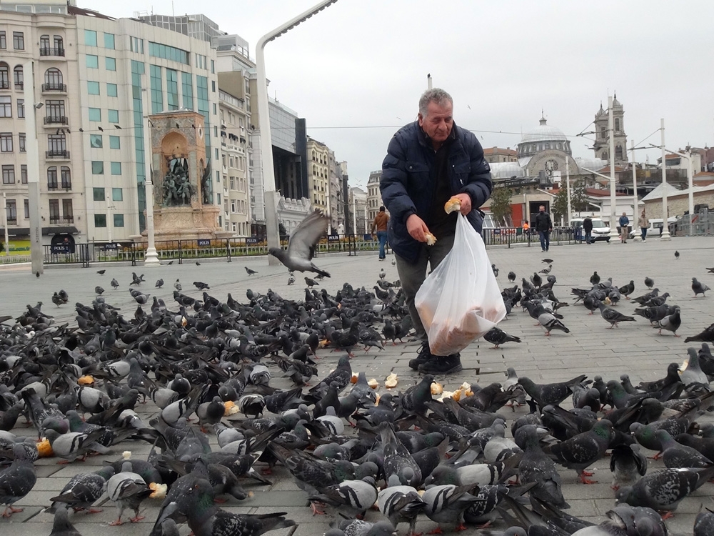 Taksim Meydanı kuşlara kaldı