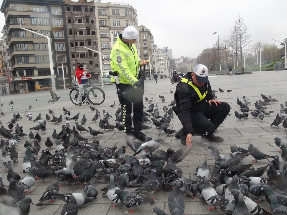 Taksim’de aç kalan güvercinleri trafik polisleri besledi