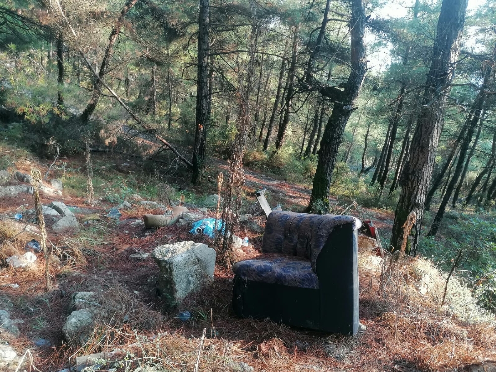 Tam bir çevre katliamı: Ormanı çöplüğe çevirmişler