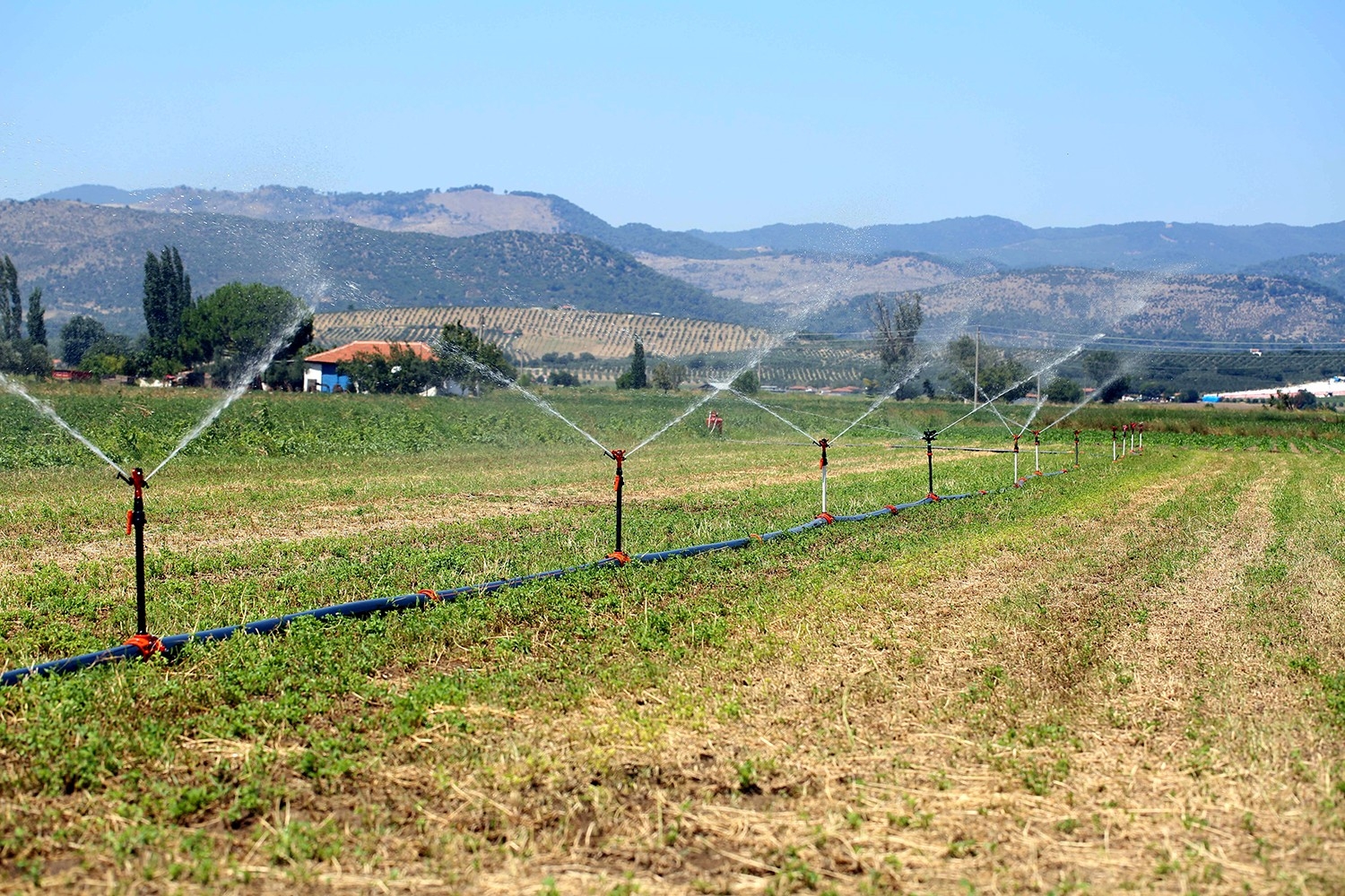 Tarım-ÜFE aylık yüzde 0,43 azaldı