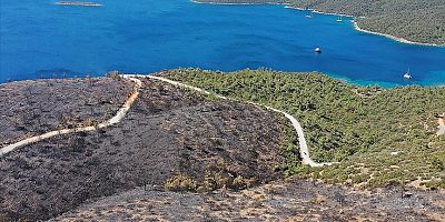 Tarım ve Orman Bakanı Bekir Pakdemirli: Muğla Milas yangını kontrol altına alındı