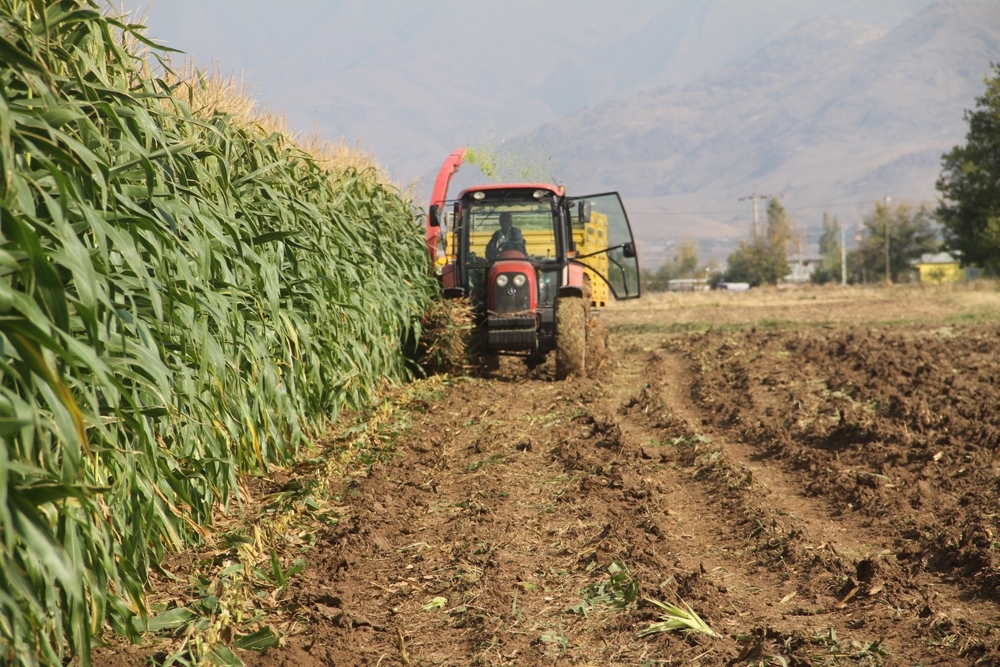 Tarım Ve Orman Bakanlığı: “Hasat Sezonu İthalat Yapılması Söz Konusu Değil”