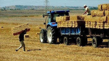 Tarımsal girdi fiyat endeksi şubatta arttı