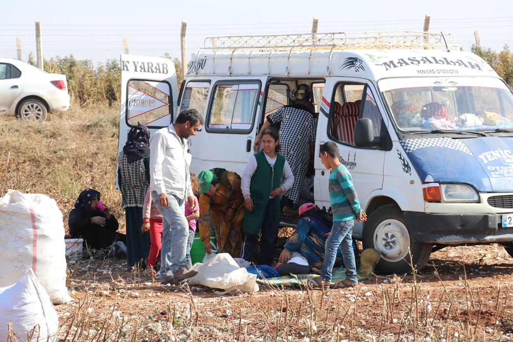 Tarlada Kalan Pamuk Atıkları Geçim Kaynağı Oldu