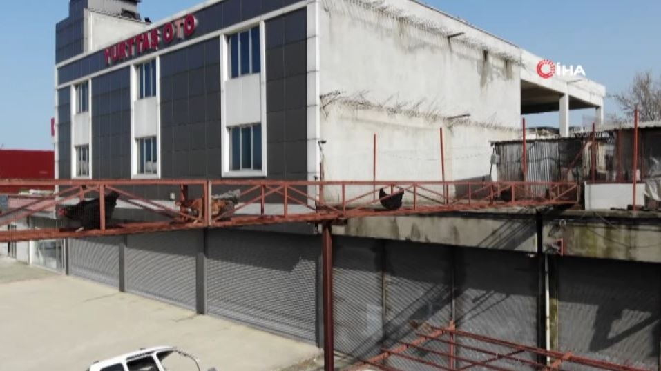 Tavukları için üst geçit yaptı