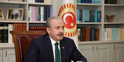 TBMM Başkanı Şentop'tan 'erken seçim' çağrılarına yanıt