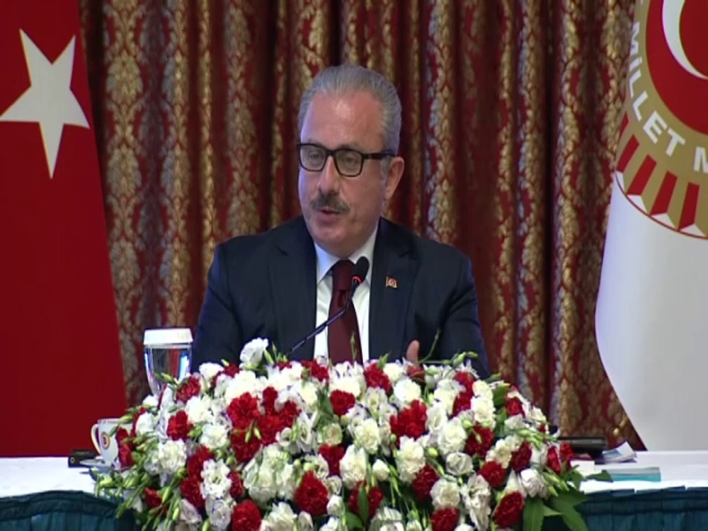 TBMM Başkanı Şentop yasama faaliyetlerini değerlendirdi