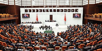 TBMM geçen yıl 23 kanun çıkardı