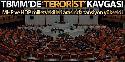 TBMM Plan ve Bütçe Komisyonunda 'terörist' tartışması