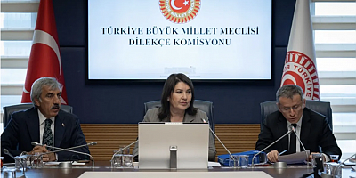 TBMM'ye gelen dilekçeler dikkati çekti