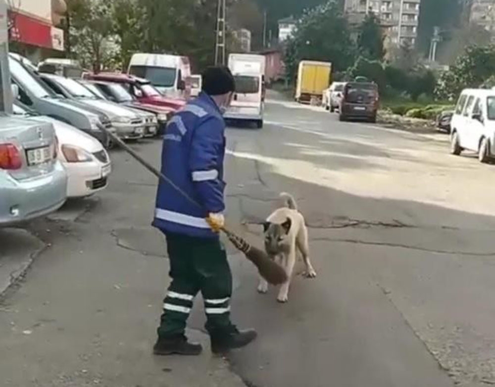 Temizlik görevlisi köpekle olan güldüren kovalamacasını anlattı