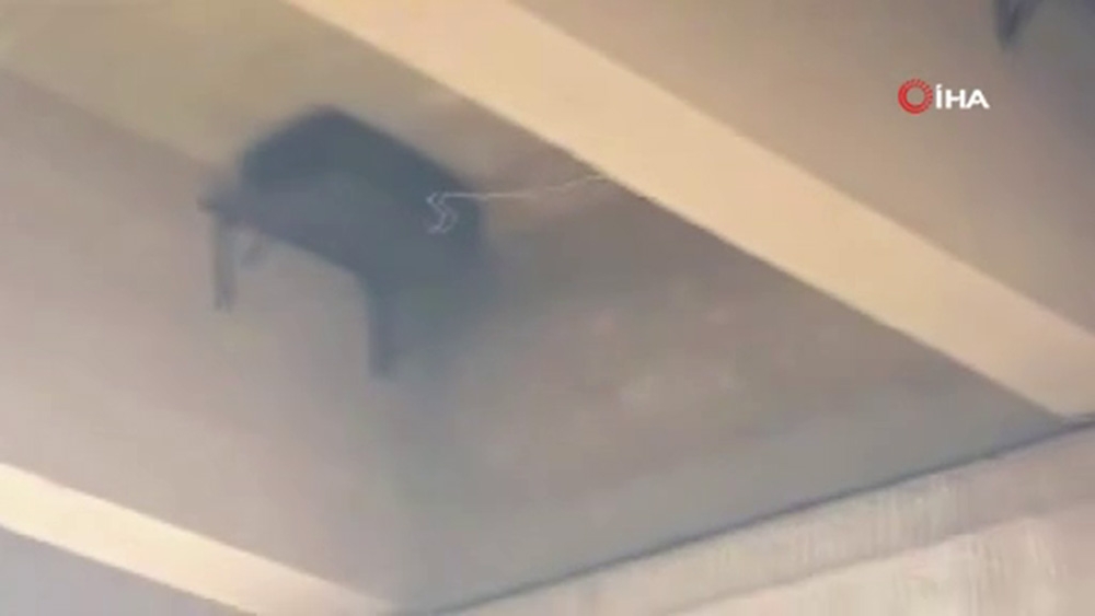 Terör Örgütü Pkk/ypg Ortalığı Yine Kana Bulayacaktı