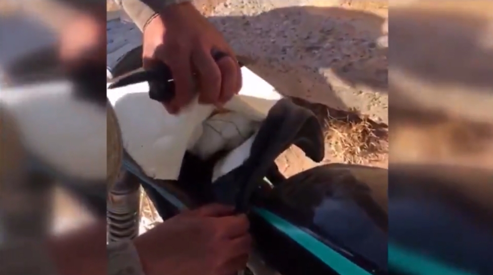 Teröristlerin Tuzakladığı Motosiklet Etkisiz Hale Getirildi