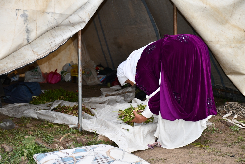 Terörün kökü kazındı yaylalar göçerlerle dolup taştı