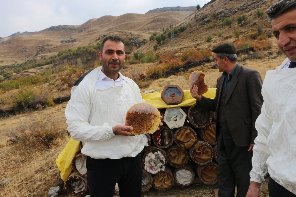 Terörün kökünün kazındığı bölgede organik bal hasadına başlandı