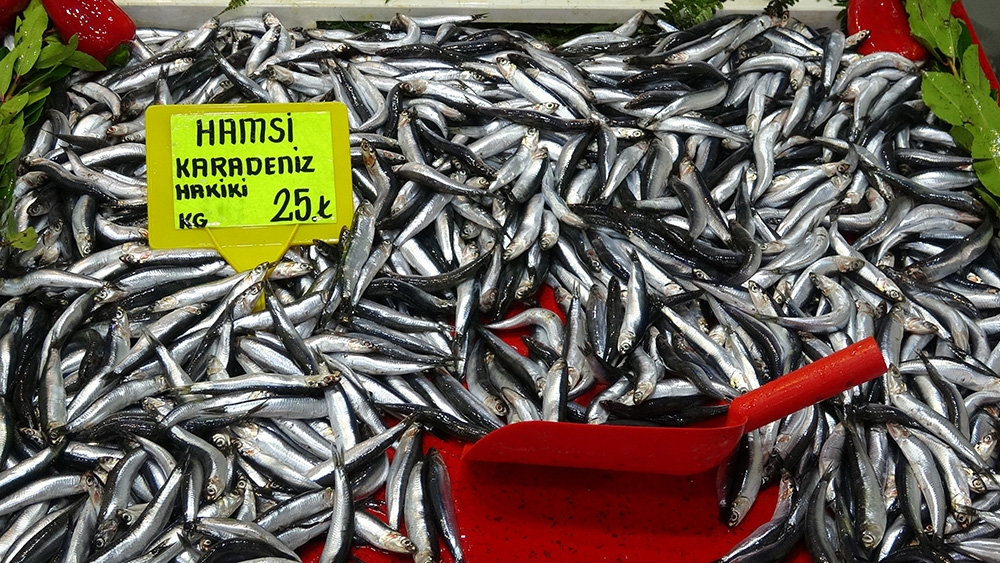 Tezgahlarda hamsi bolluğu