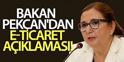 Ticaret Bakanı Pekcan’dan e-ticaret açıklaması