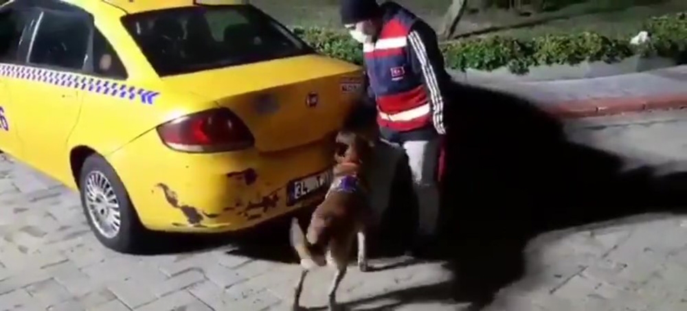 Ticari taksiyle uyuşturucu sevkiyatı jandarmaya takıldı