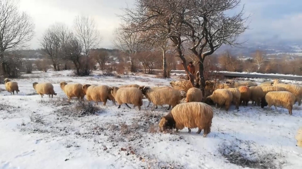 Tokat’ta yüksek kesimler beyaz örtü ile kaplandı