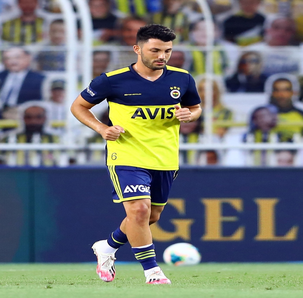 Tolgay Arslan, Hannover yolunda