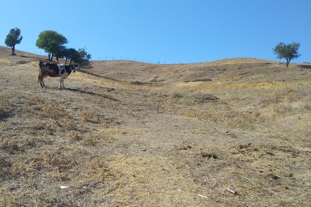 Toprak kendiliğinden alev alıyor, dumanlar yükseliyor